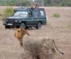 Tanzania vacation safari holidays
