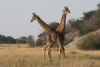 Pictures from Beauty Tanzania safari holiday destinations