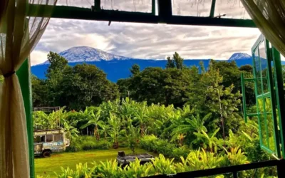 Budget tourist hotels in Moshi Kilimanjaro gears